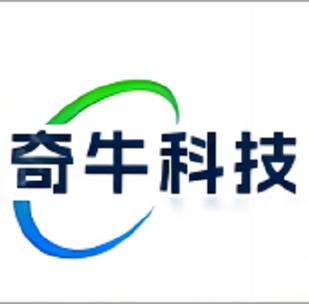 計算機系統服務;信息技術咨詢服務;人工智能應用軟件開發;技術服務